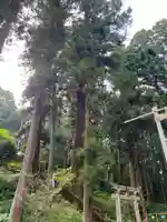 大宮温泉神社の鳥居
