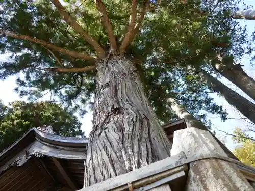 矢彦神社のその他建物