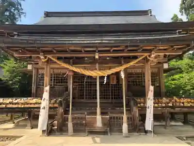 出石神社の本殿・本堂