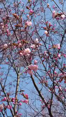 相馬神社(北海道)
