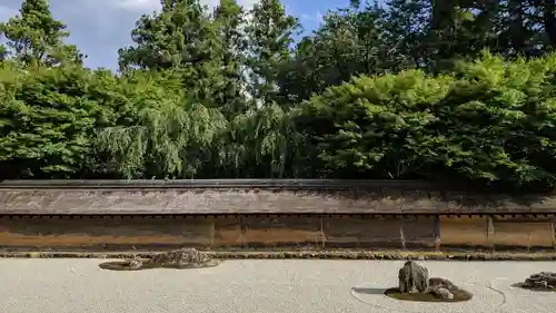 龍安寺の庭園