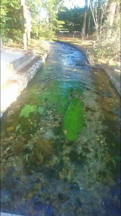 乃木神社の自然
