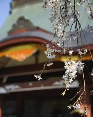 慈眼寺(群馬県)