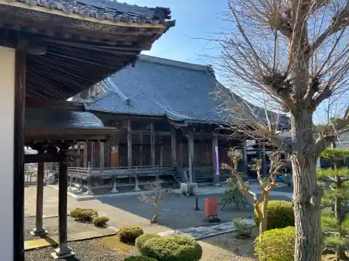 真宗大谷派本願寺別院（五村別院）の本殿