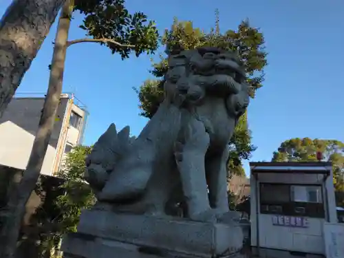 八坂神社(祇園さん)の狛犬