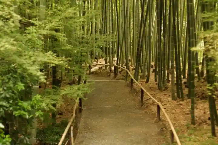 高台寺(高台寿聖禅寺・高臺寺)(京都府)