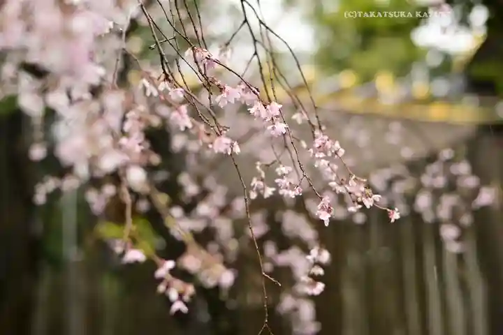 伊勢山皇大神宮(神奈川県)