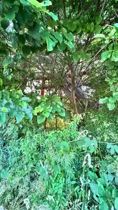 稲荷神社(尾白内)(北海道)