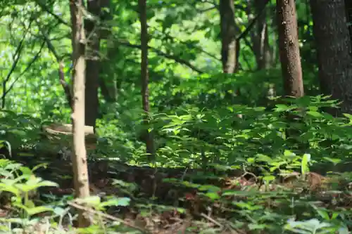 鹿島大神宮の景色