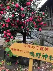 生國魂神社(大阪府)