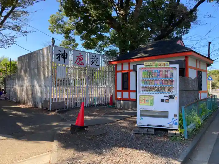 相州春日神社(神奈川県)