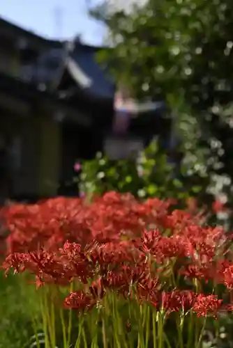 磐井神社の自然