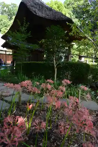 横浜　西方寺(神奈川県)