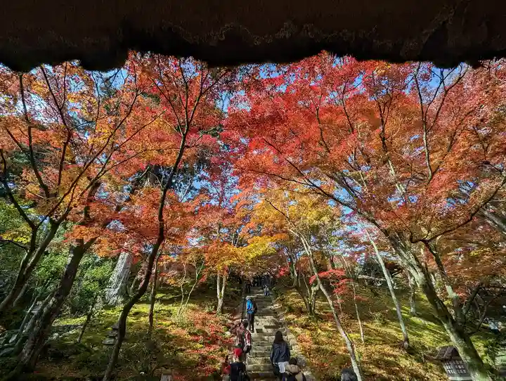 常寂光寺(京都府)