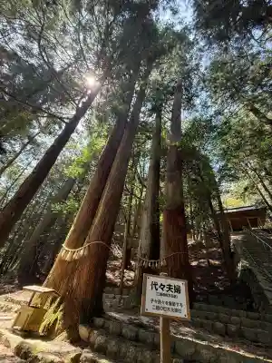 蘭宇氣白神社の{uncategorized: "未分類", other: "その他", undefined: "問題あり", building: "その他建物", grave: "お墓", sacred_gate: "鳥居", guardian: "狛犬", statue: "像", buddha: "仏像", history: "歴史", nature: "自然", garden: "庭園", animal: "動物", pagoda: "塔", temizu: "手水舎", mountain_gate: "山門・神門", sanctuary: "本殿・本堂", subordinate: "末社・摂社", art: "芸術", scenery: "景色", jizo: "地蔵", ema: "絵馬", goshuin: "御朱印", omikuji: "おみくじ", items: "授与品その他", amulet: "お守り", goshuincho: "御朱印帳", eats: "食事", festival: "お祭り", votive_dance: "神楽", shichigosan: "七五三参", wedding: "結婚式", experience: "体験その他", initially: "初詣", around: "周辺", anti_infection: "感染症対策"}