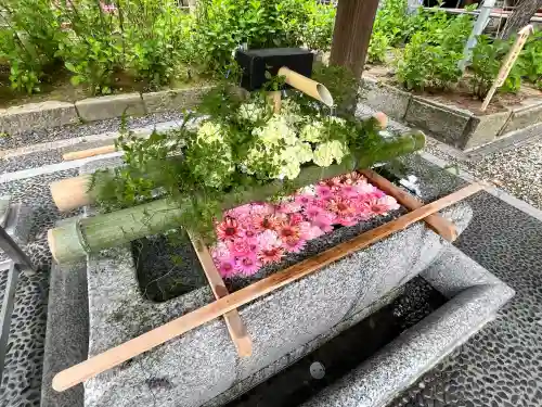 白山神社(新潟県)