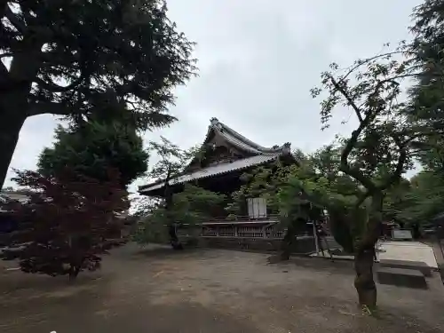 寛永寺(根本中堂)の{uncategorized: "未分類", other: "その他", undefined: "問題あり", building: "その他建物", grave: "お墓", sacred_gate: "鳥居", guardian: "狛犬", statue: "像", buddha: "仏像", history: "歴史", nature: "自然", garden: "庭園", animal: "動物", pagoda: "塔", temizu: "手水舎", mountain_gate: "山門・神門", sanctuary: "本殿・本堂", subordinate: "末社・摂社", art: "芸術", scenery: "景色", jizo: "地蔵", ema: "絵馬", goshuin: "御朱印", omikuji: "おみくじ", items: "授与品その他", amulet: "お守り", goshuincho: "御朱印帳", eats: "食事", festival: "お祭り", votive_dance: "神楽", shichigosan: "七五三参", wedding: "結婚式", experience: "体験その他", initially: "初詣", around: "周辺", anti_infection: "感染症対策"}