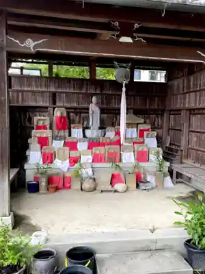 般若寺 ❁﻿コスモス寺❁(奈良県)