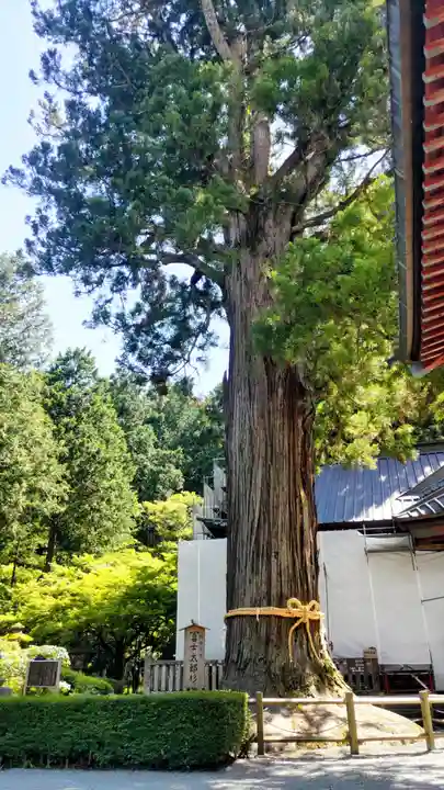 北口本宮冨士浅間神社(山梨県)