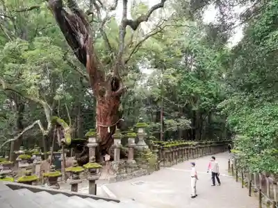 春日大社のその他建物