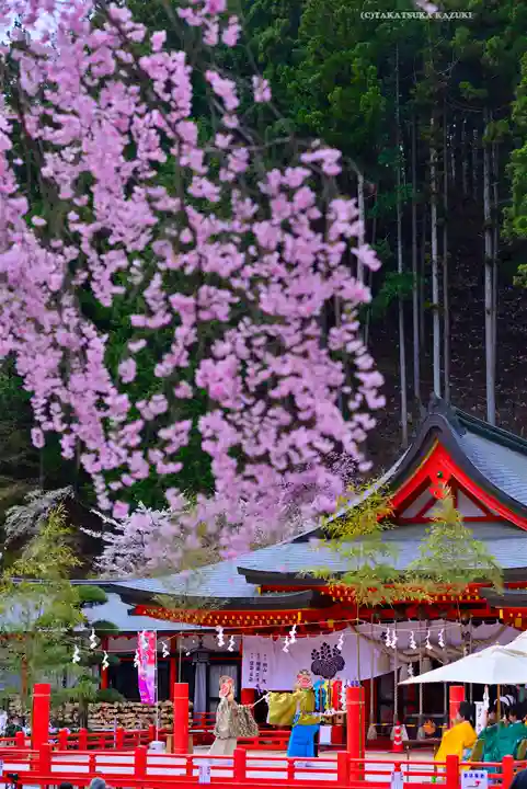 金櫻神社(山梨県)