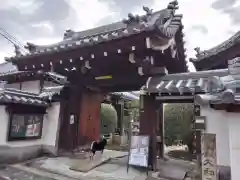 聖光寺(奈良県)