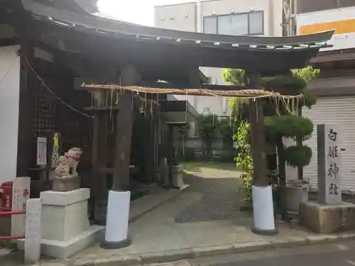 白姫神社の鳥居