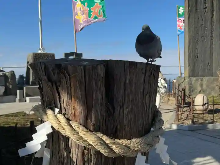 蕪嶋神社(青森県)