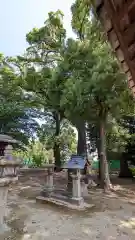 荒見神社(京都府)