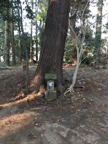 八幡神社の自然