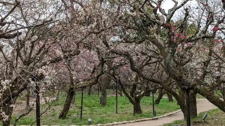 北野天満宮(京都府)