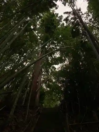 十二所神社の自然
