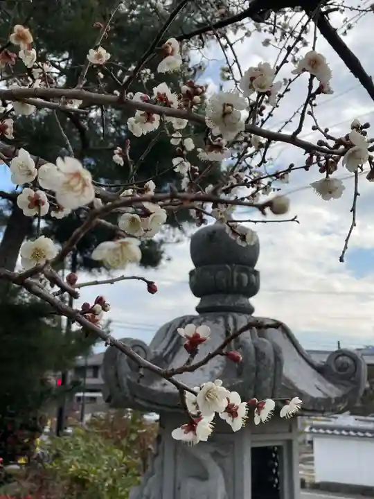 六道院(七観音)(京都府)