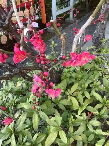 尾張猿田彦神社の自然