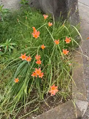 蓮台寺(神奈川県)