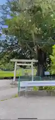 高根白山神社の鳥居