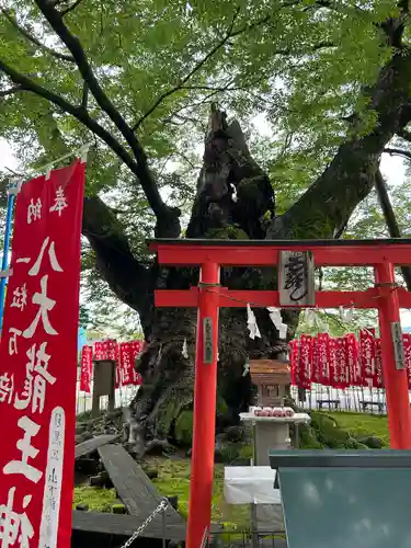 秩父今宮神社(埼玉県)