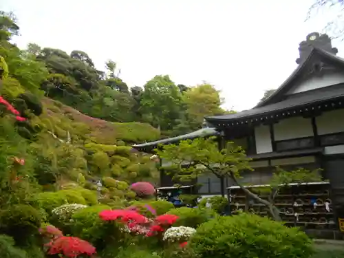 仏行寺（佛行寺）の庭園