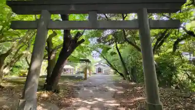 大汝牟遅神社の{uncategorized: "未分類", other: "その他", undefined: "問題あり", building: "その他建物", grave: "お墓", sacred_gate: "鳥居", guardian: "狛犬", statue: "像", buddha: "仏像", history: "歴史", nature: "自然", garden: "庭園", animal: "動物", pagoda: "塔", temizu: "手水舎", mountain_gate: "山門・神門", sanctuary: "本殿・本堂", subordinate: "末社・摂社", art: "芸術", scenery: "景色", jizo: "地蔵", ema: "絵馬", goshuin: "御朱印", omikuji: "おみくじ", items: "授与品その他", amulet: "お守り", goshuincho: "御朱印帳", eats: "食事", festival: "お祭り", votive_dance: "神楽", shichigosan: "七五三参", wedding: "結婚式", experience: "体験その他", initially: "初詣", around: "周辺", anti_infection: "感染症対策"}