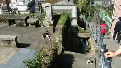 深崇寺(長崎県)