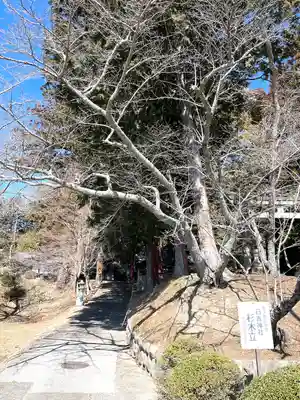 日吉神社(滋賀県)