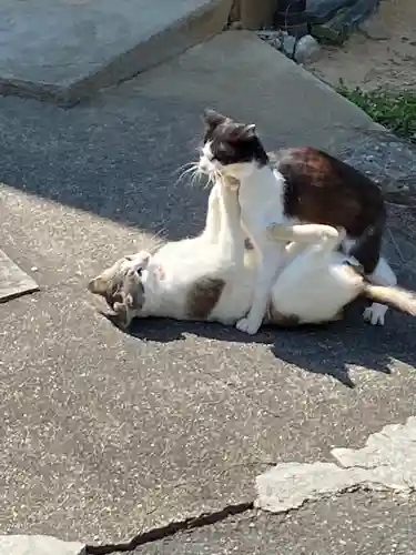 浄瑠璃寺の動物