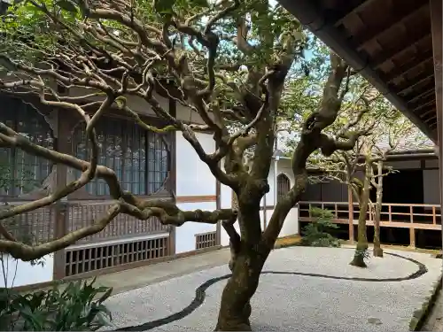 法然院(京都府)