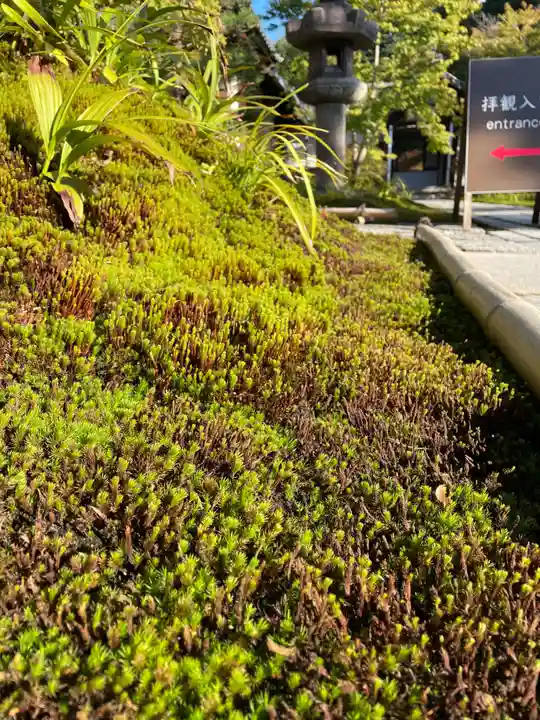 西来院(京都府)