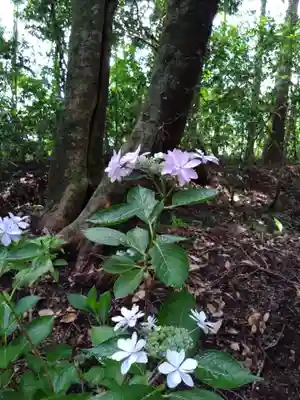 狭野神社(宮崎県)
