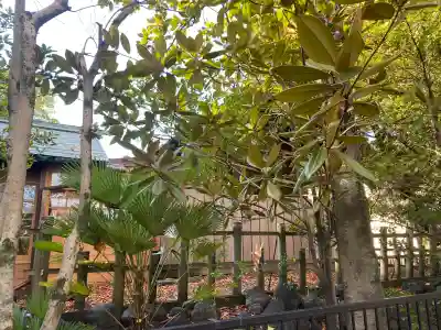 伊勢神社(栃木県)