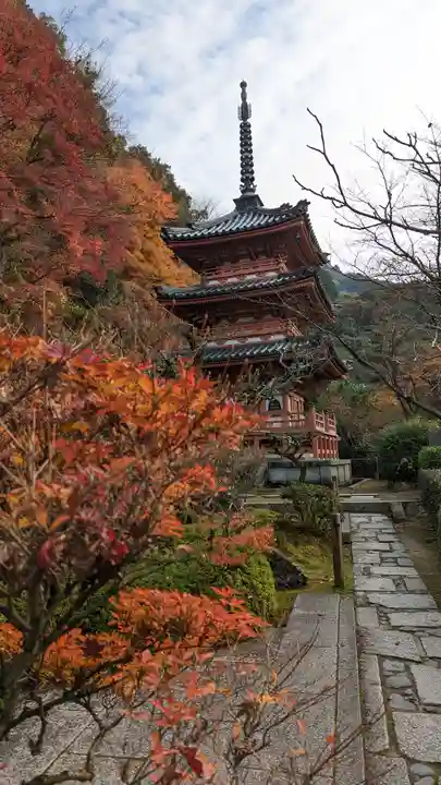 三室戸寺(京都府)