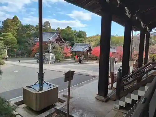 光明寺（粟生光明寺）(京都府)
