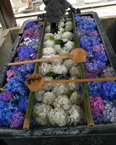 柳谷観音　楊谷寺の手水舎