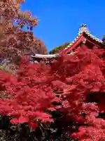 本土寺(千葉県)